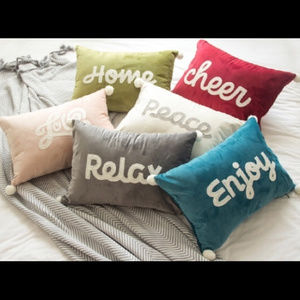 VelvetSoft NWOT Cushion Cover 1 pc